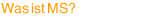 Was ist MS?